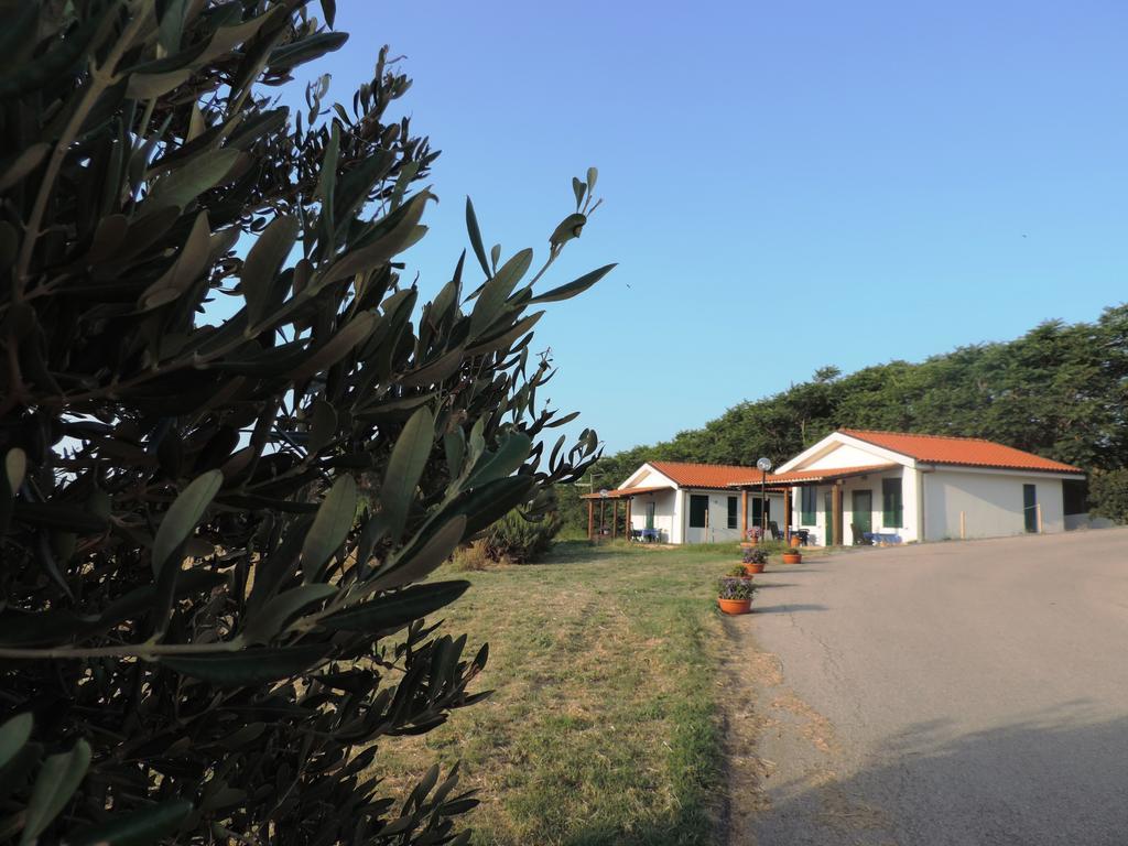 Agriturismo Sila Termoli Exterior photo